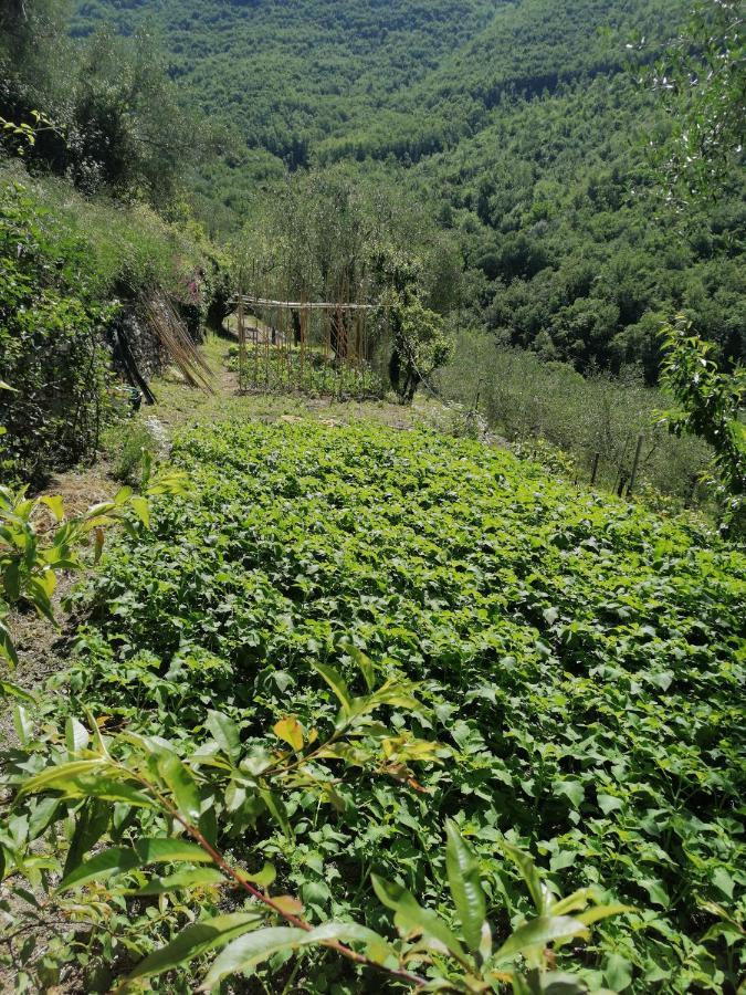La Chouette Bed & Breakfast Pieve di Teco Exterior foto