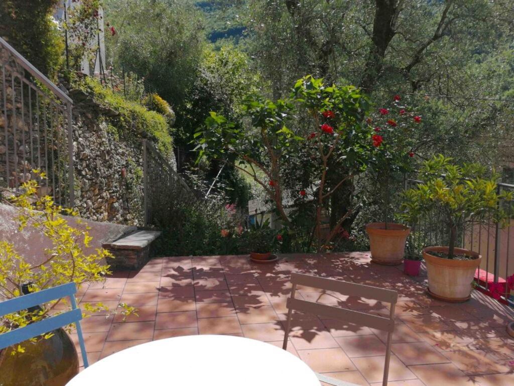 La Chouette Bed & Breakfast Pieve di Teco Exterior foto